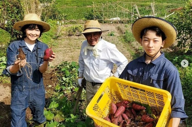 財前直見と家族